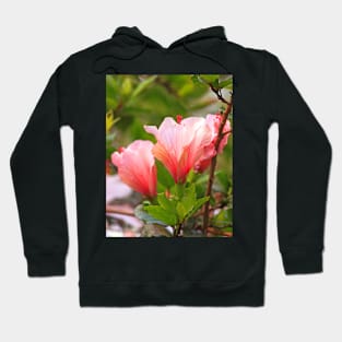 hibiscus Hoodie